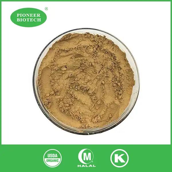 astragalus root extract powder